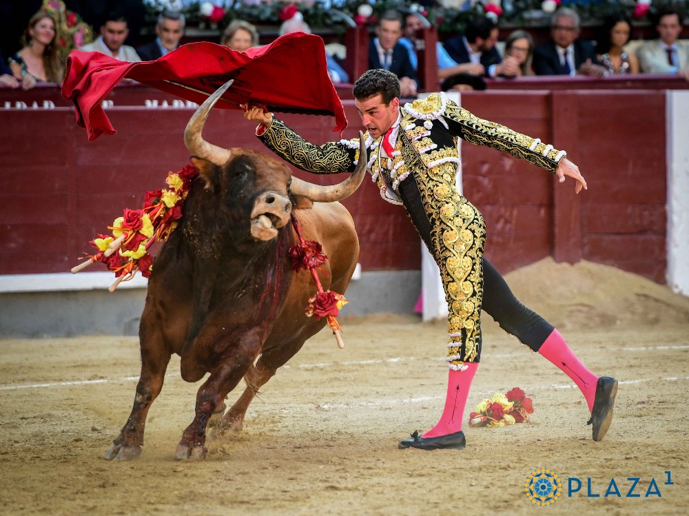 Imagen 2