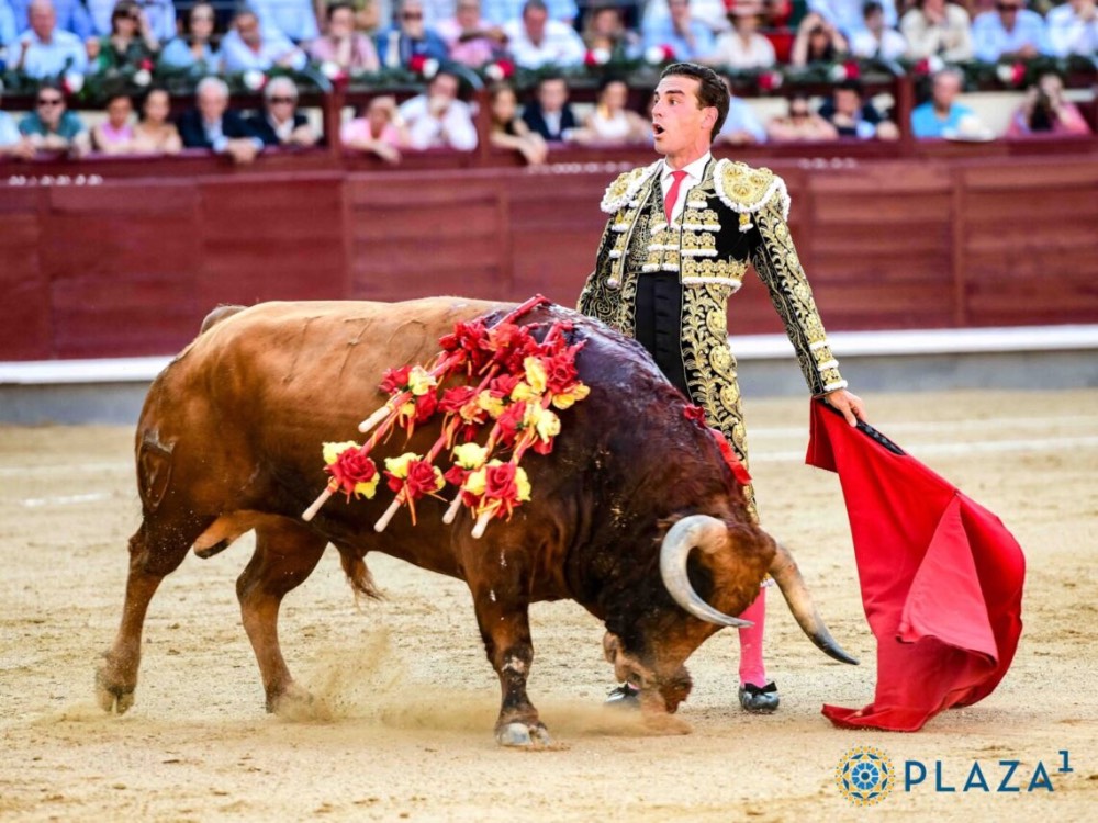 Imagen 3