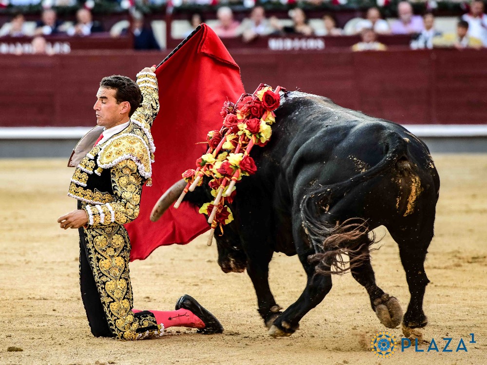 Imagen 4