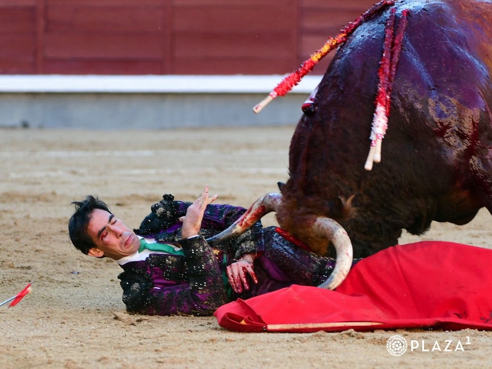 Imagen 3