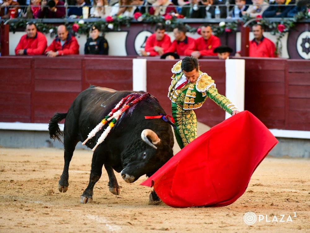 Imagen 5