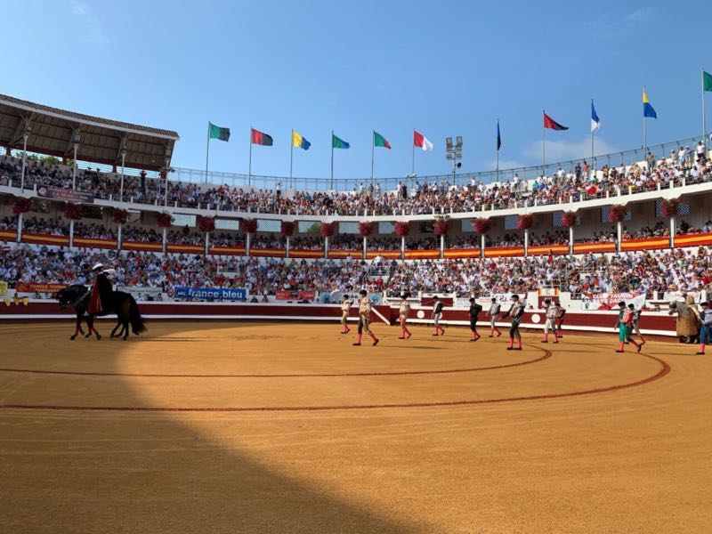 Dax presenta una temporada 2026 de máxima categoría con figuras, juventud y grandes acontecimientos