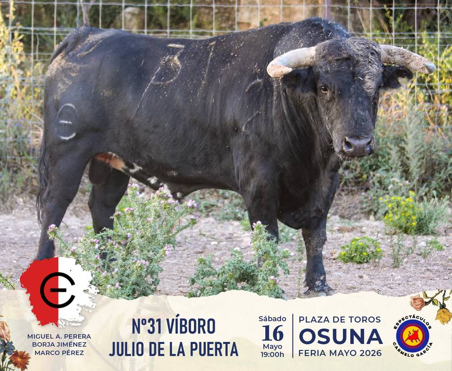Imagen 6