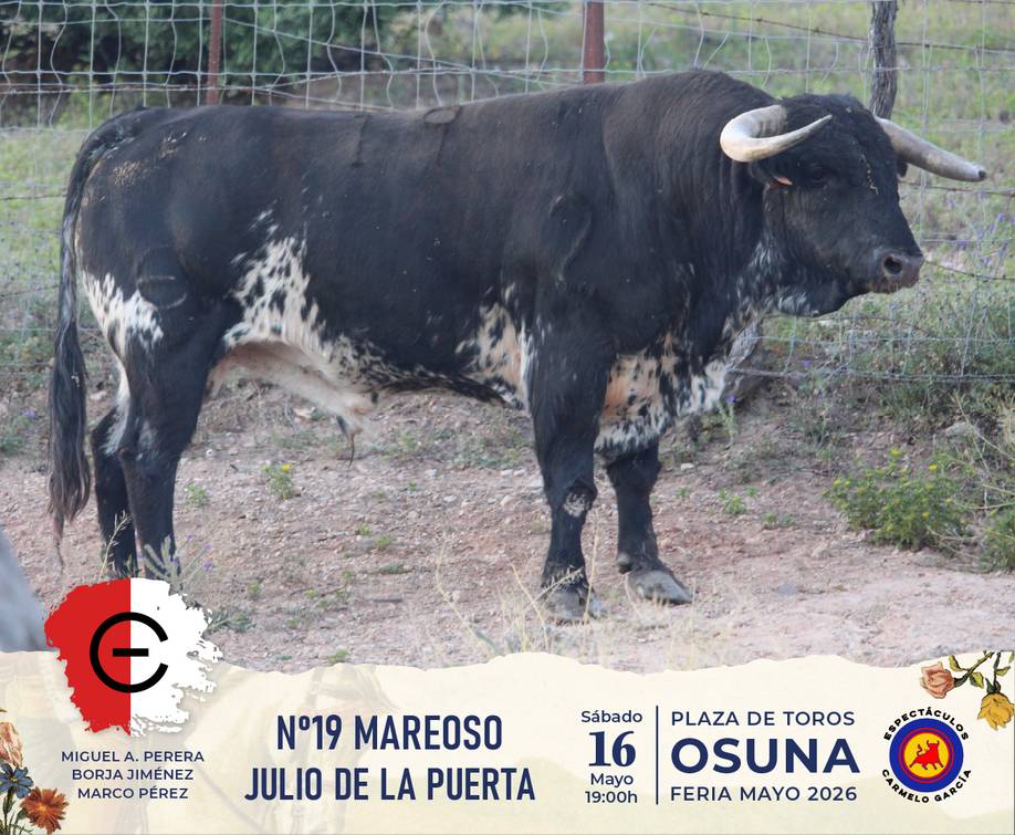 Imagen 7