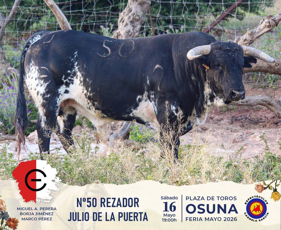 Imagen 8