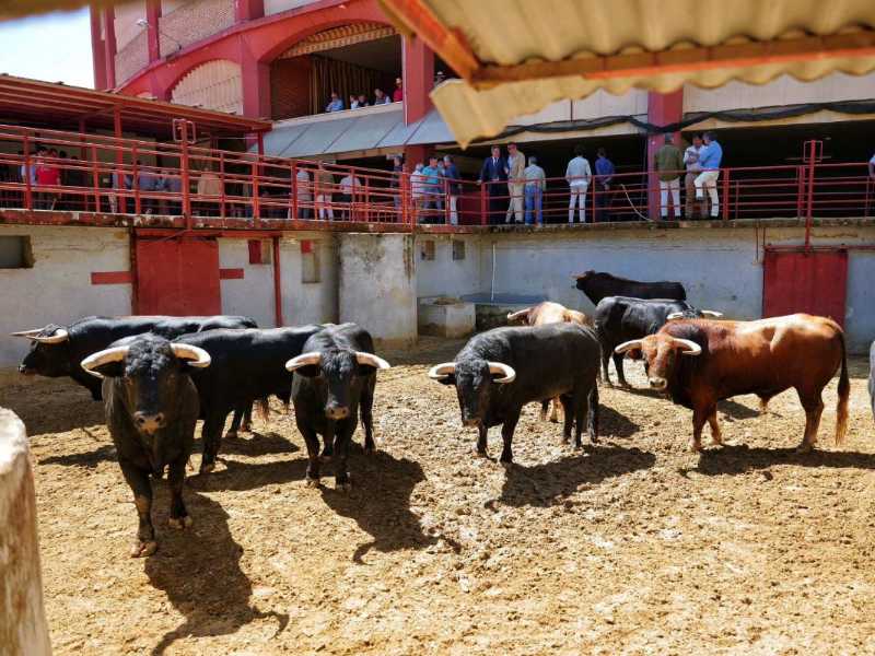 Fiscal del Cotillo abre la feria de Córdoba