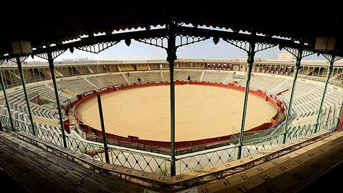 Fusilero cierra la feria del Caballo de Jerez de la Frontera