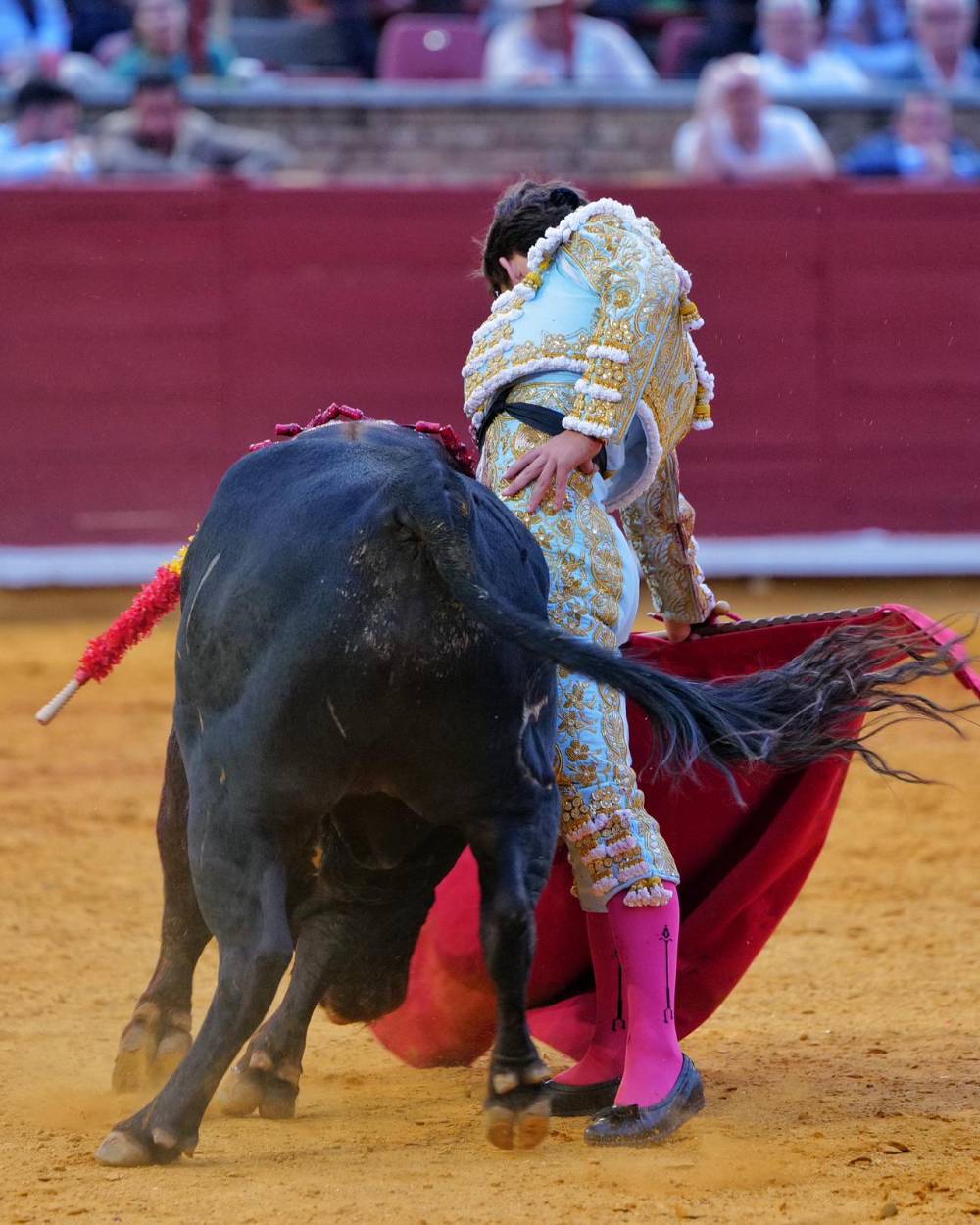 Imagen 1