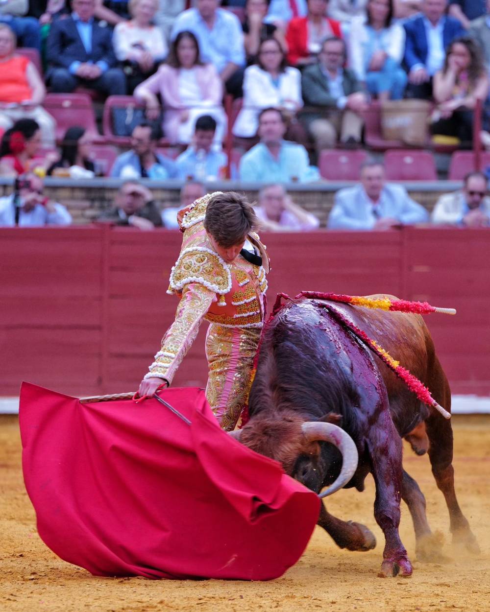 Imagen 6