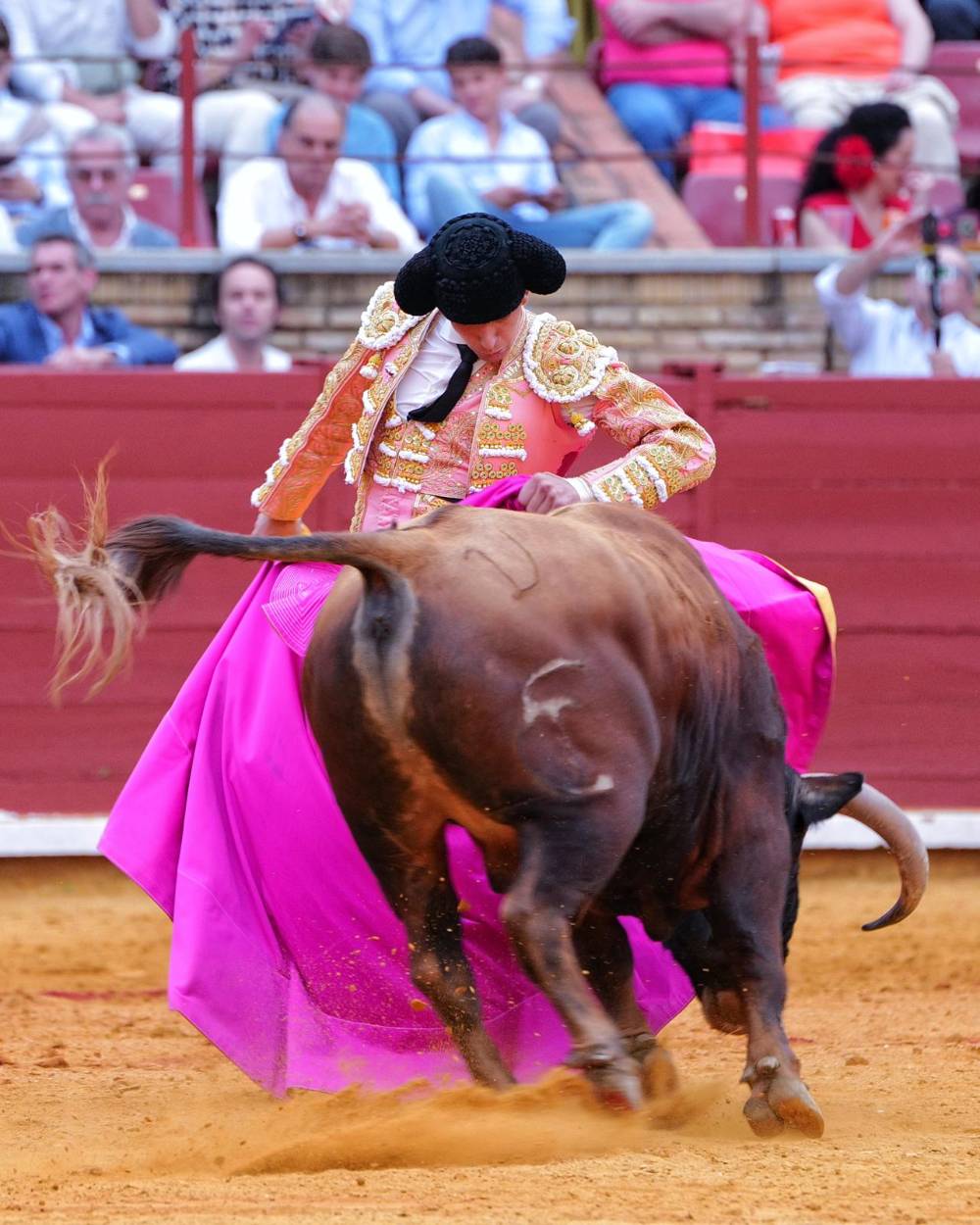 Imagen 8