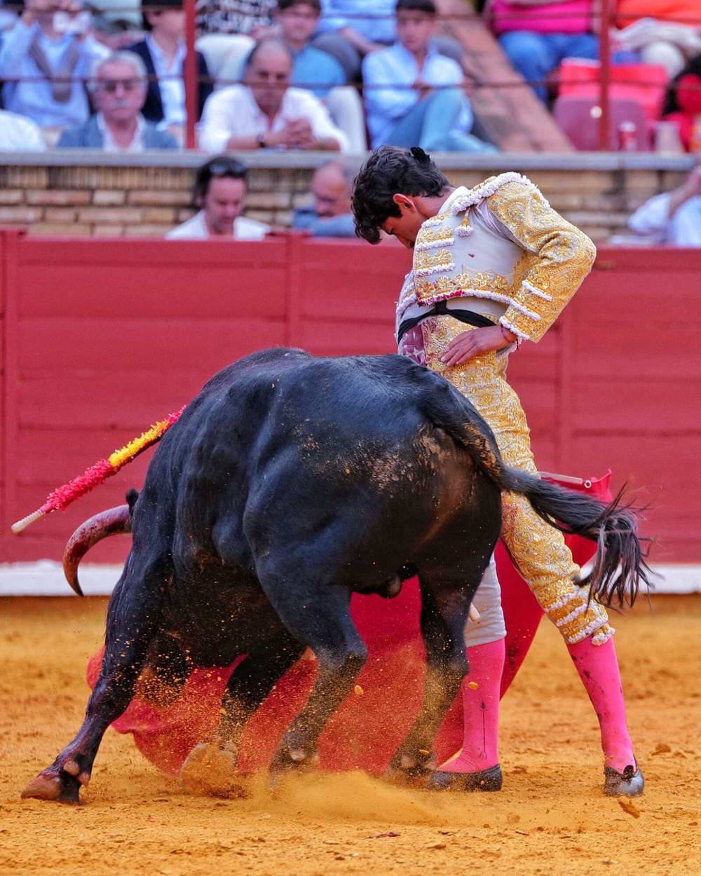 Imagen 10