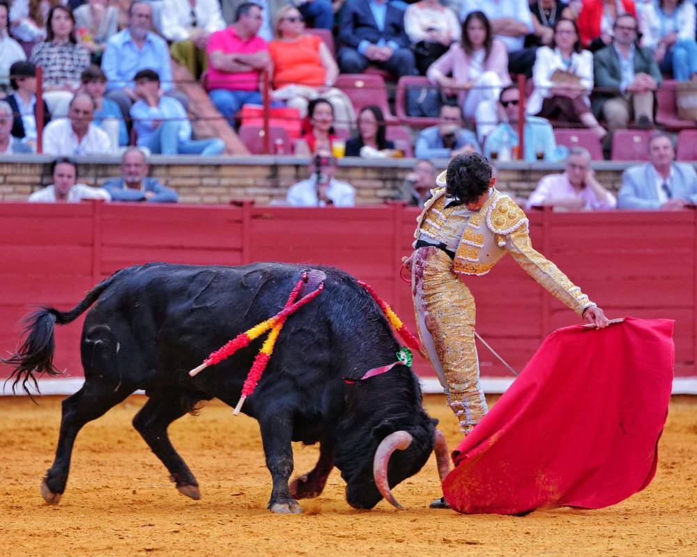 Imagen 11