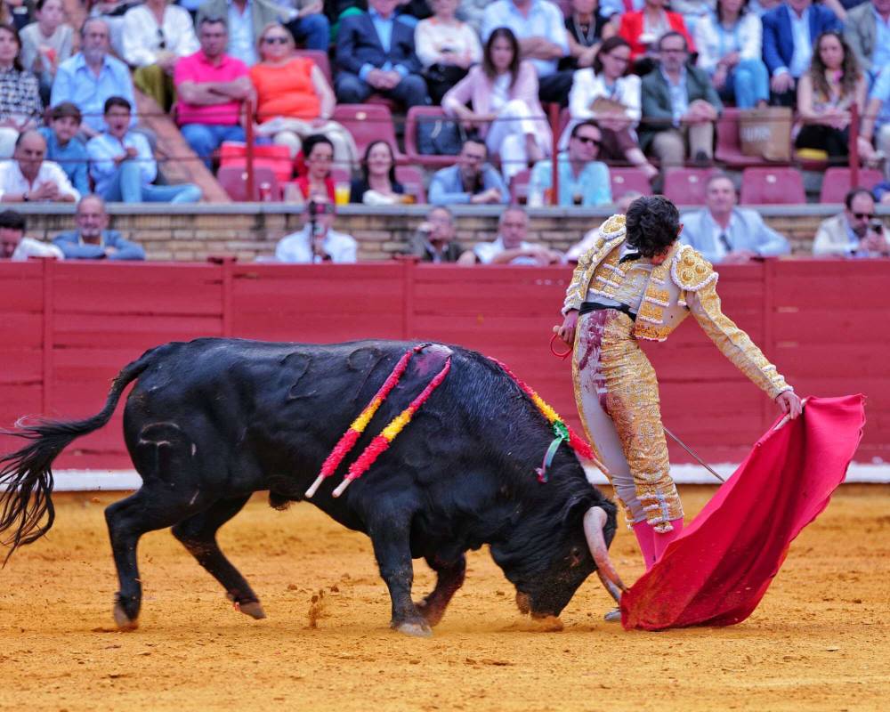 Imagen 13