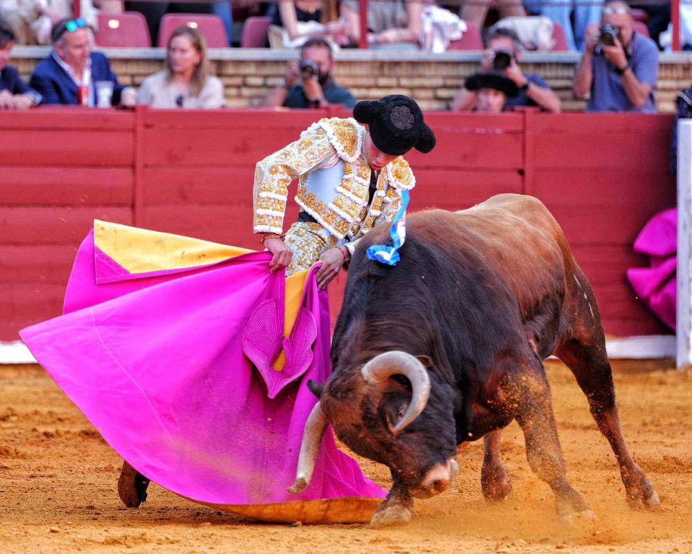 Imagen 14