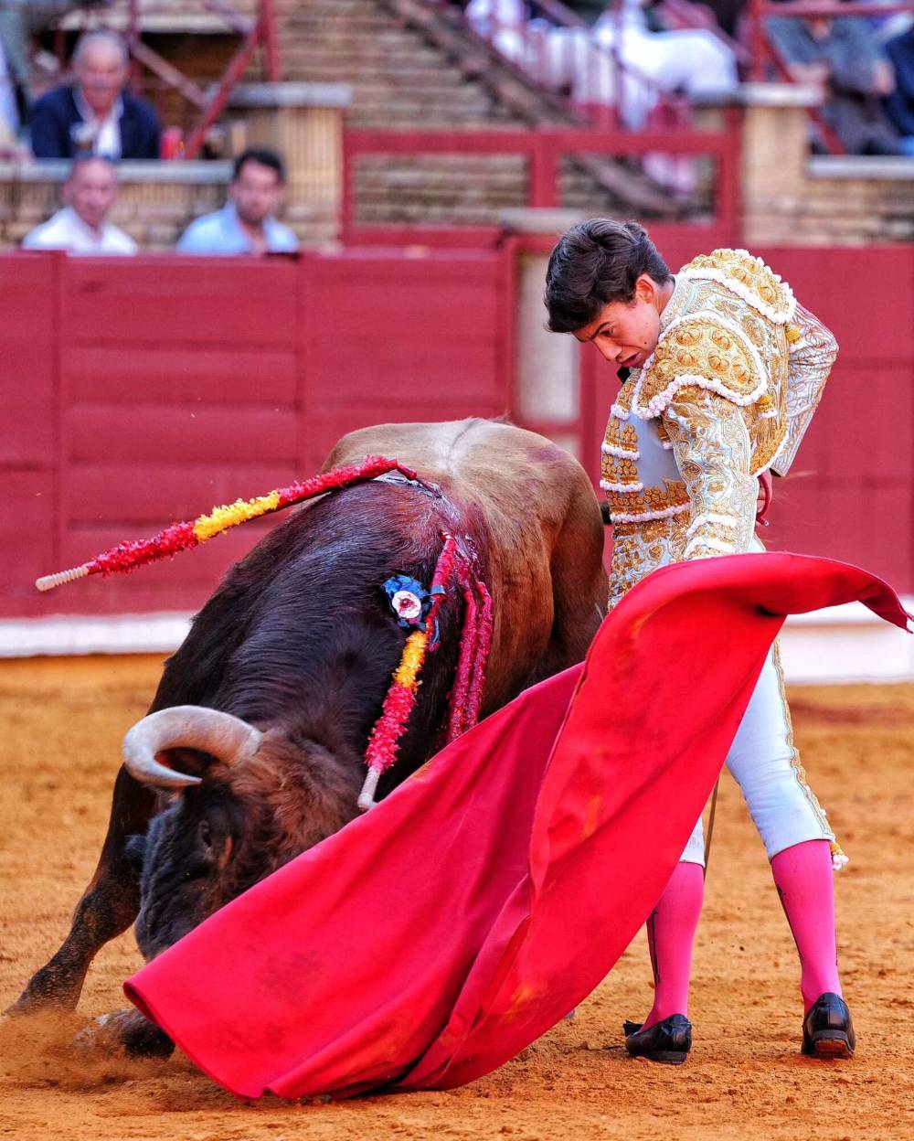 Imagen 15