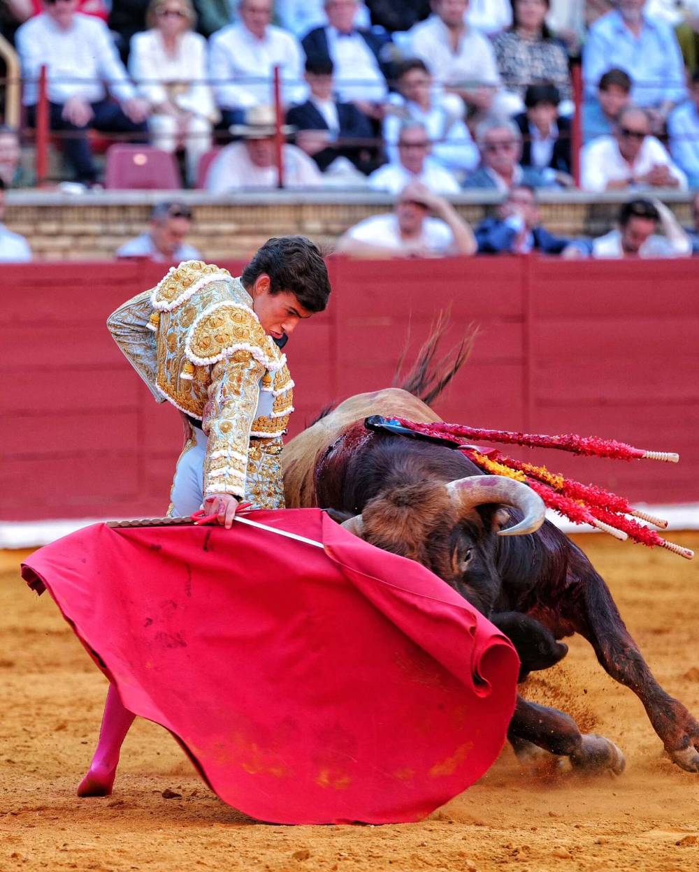 Imagen 16