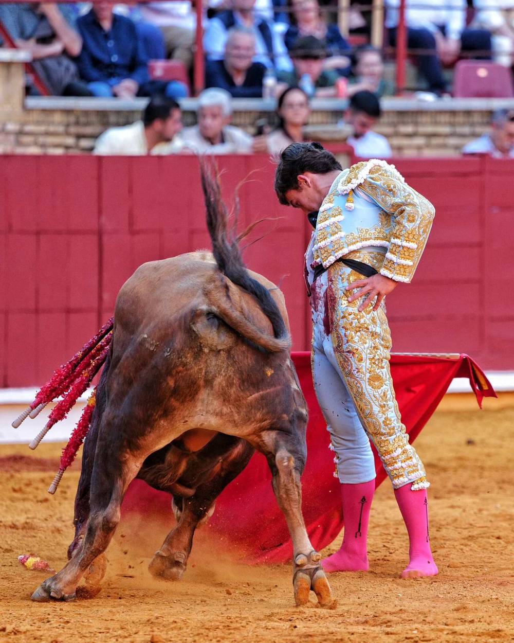 Imagen 17