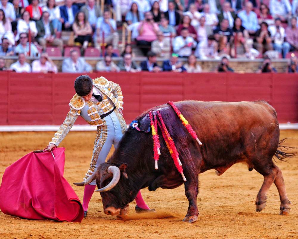 Imagen 18