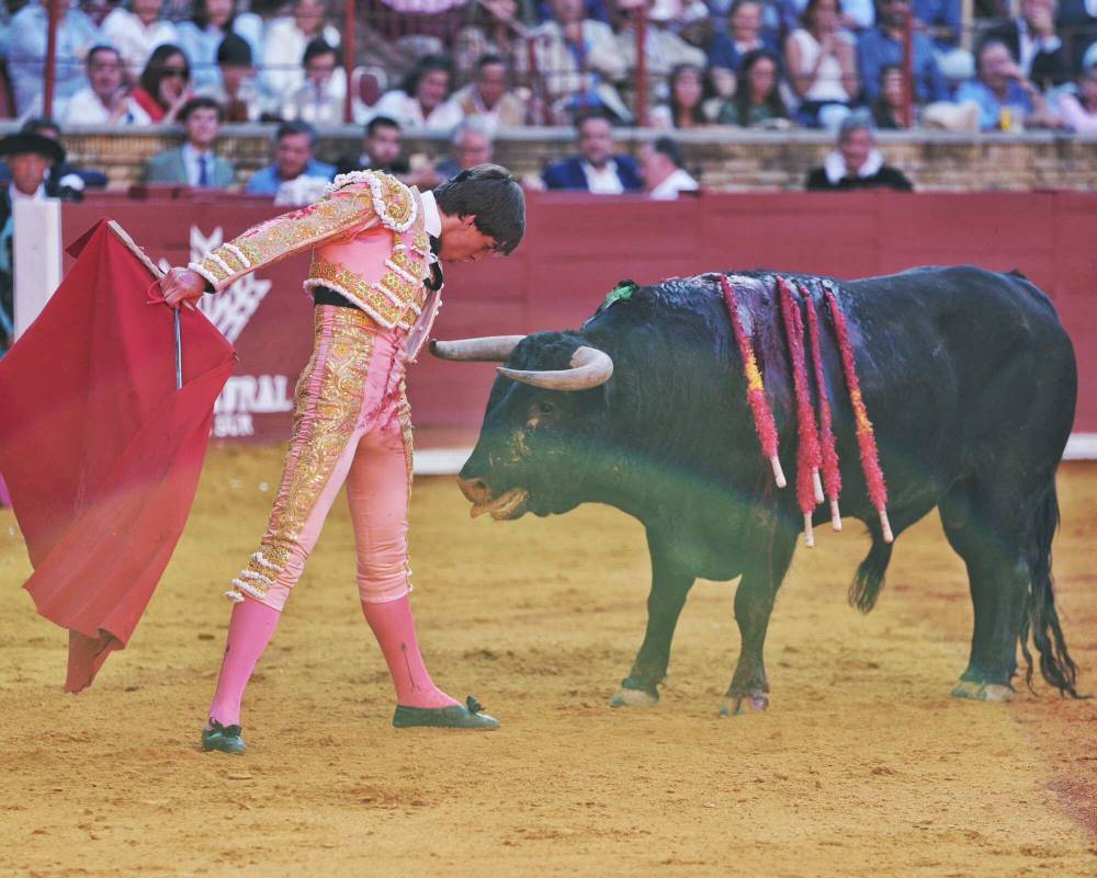 Imagen 19