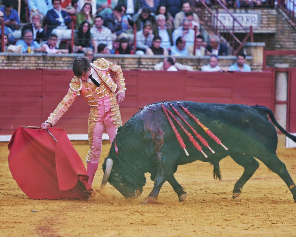 Imagen 20