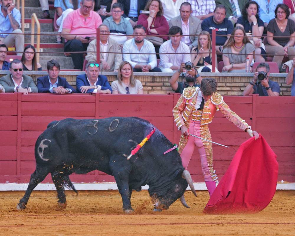 Imagen 21