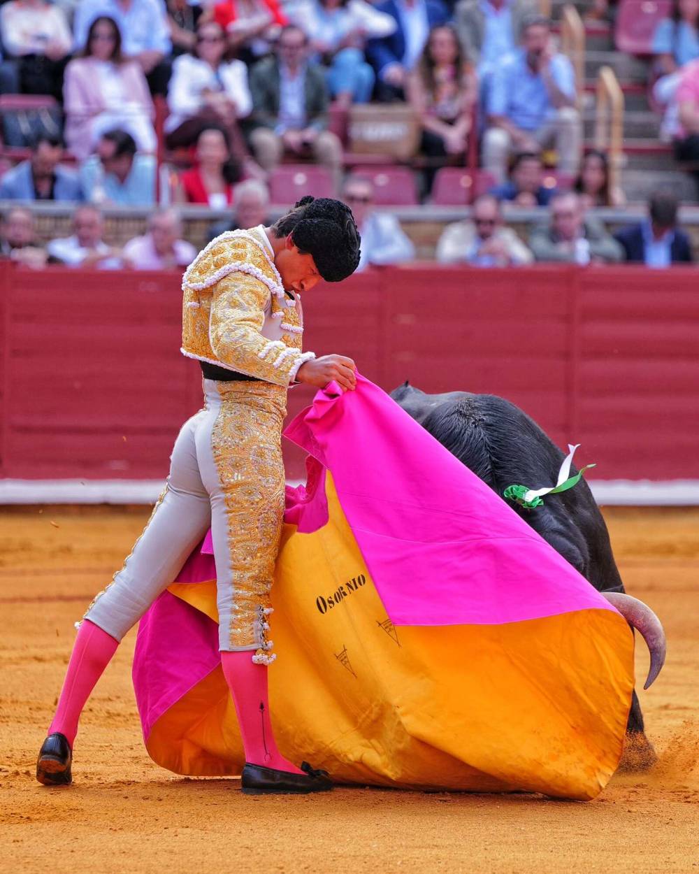 Imagen 23