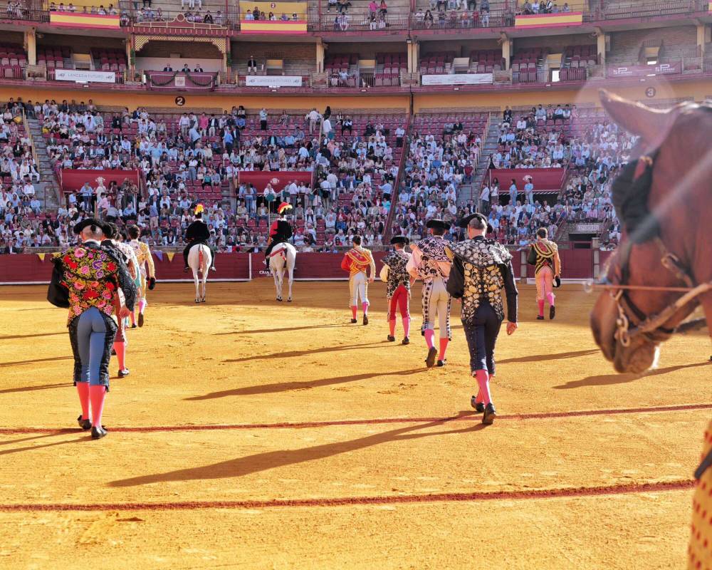 Imagen 29