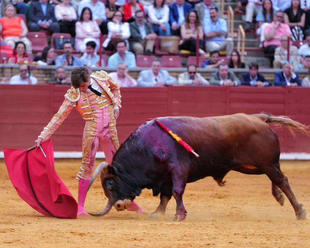 Imagen 30