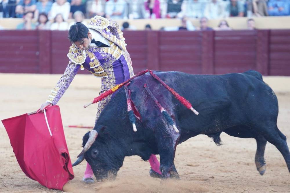 Imagen 2