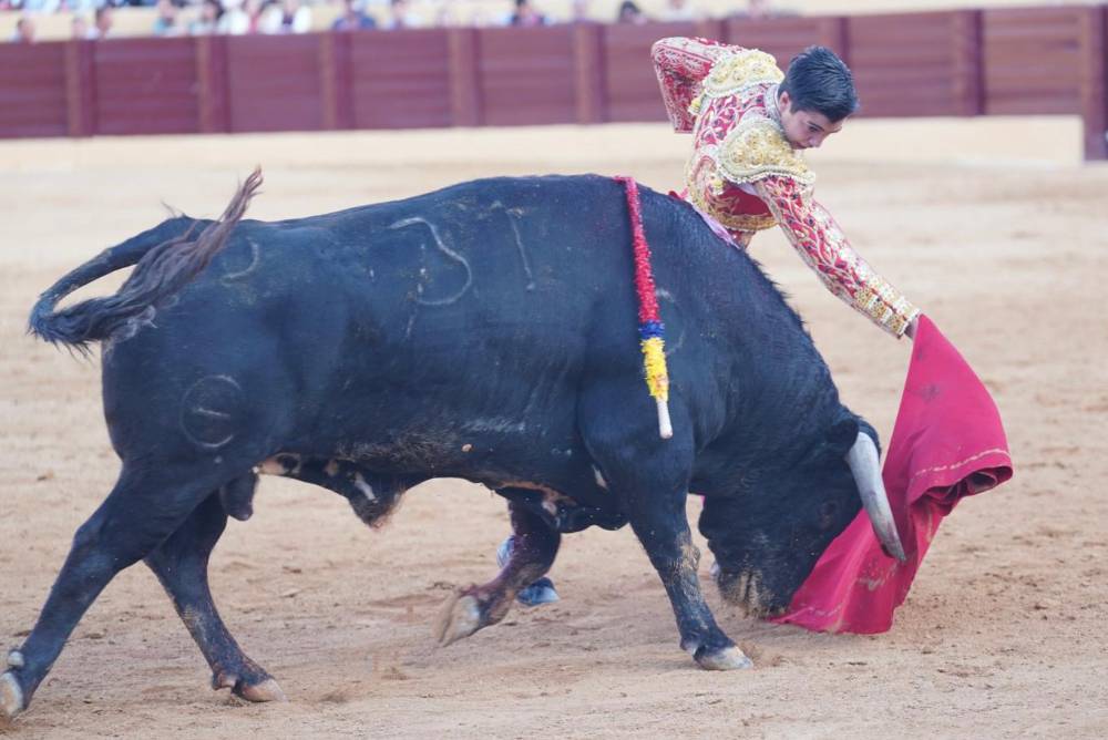 Imagen 3