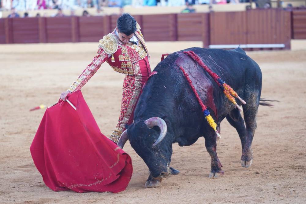 Imagen 4