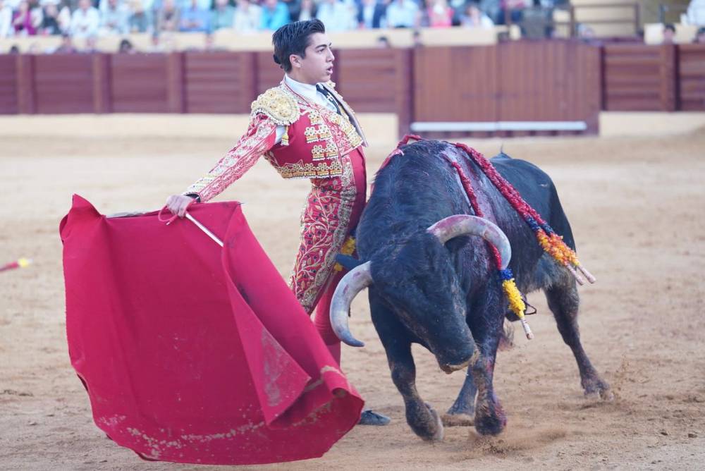 Imagen 5