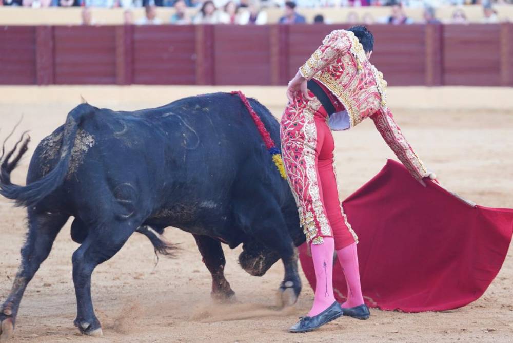 Imagen 6