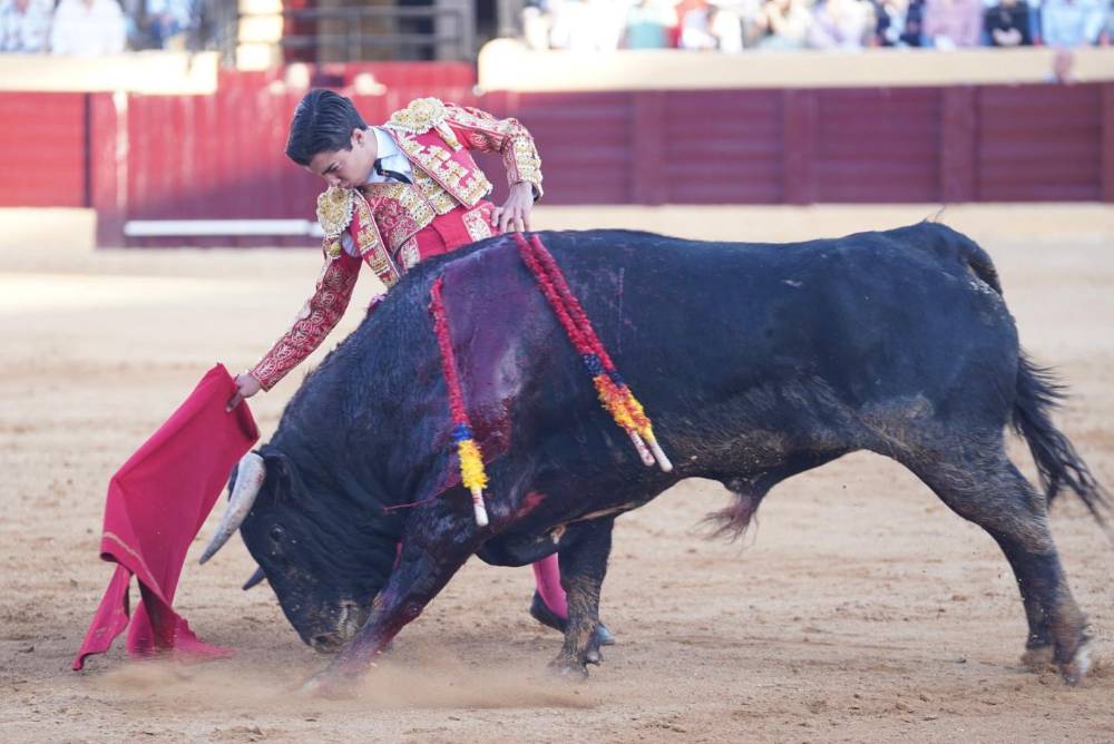 Imagen 7