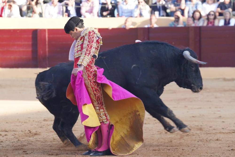 Imagen 8