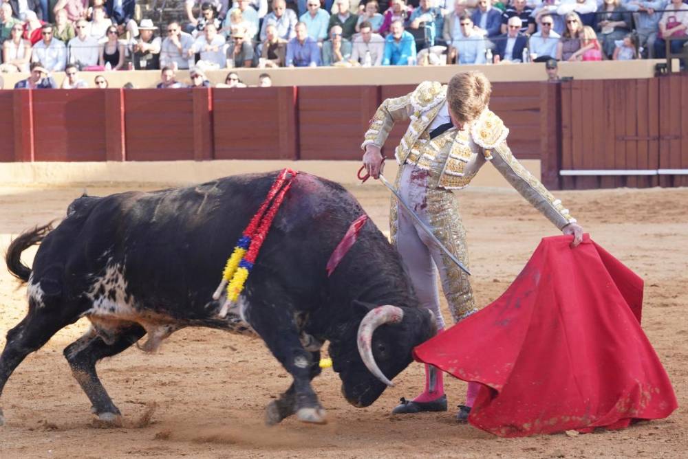Imagen 11