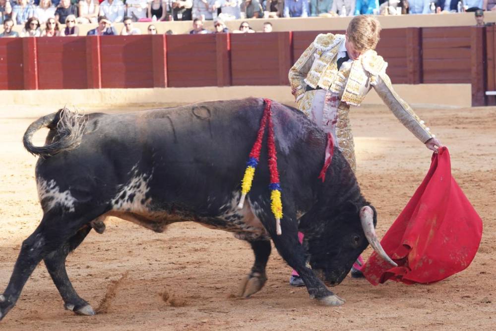 Imagen 12