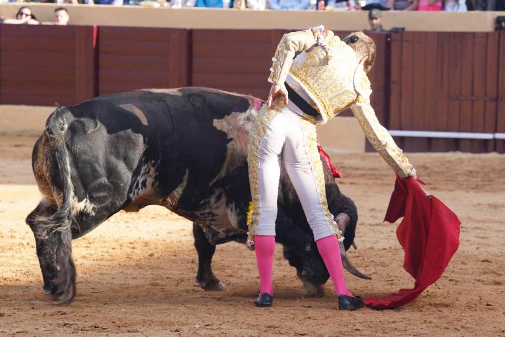 Imagen 13