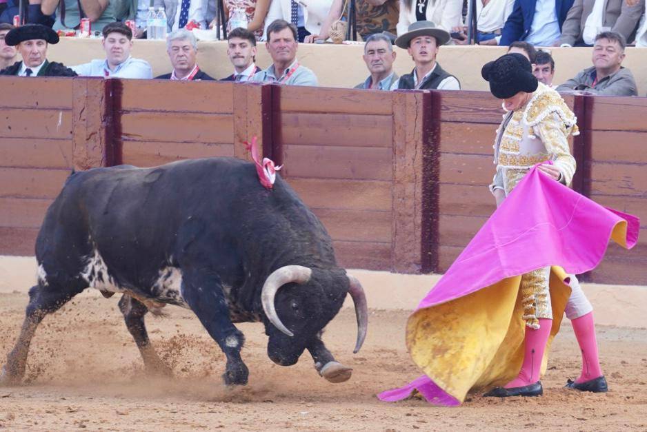 Imagen 14