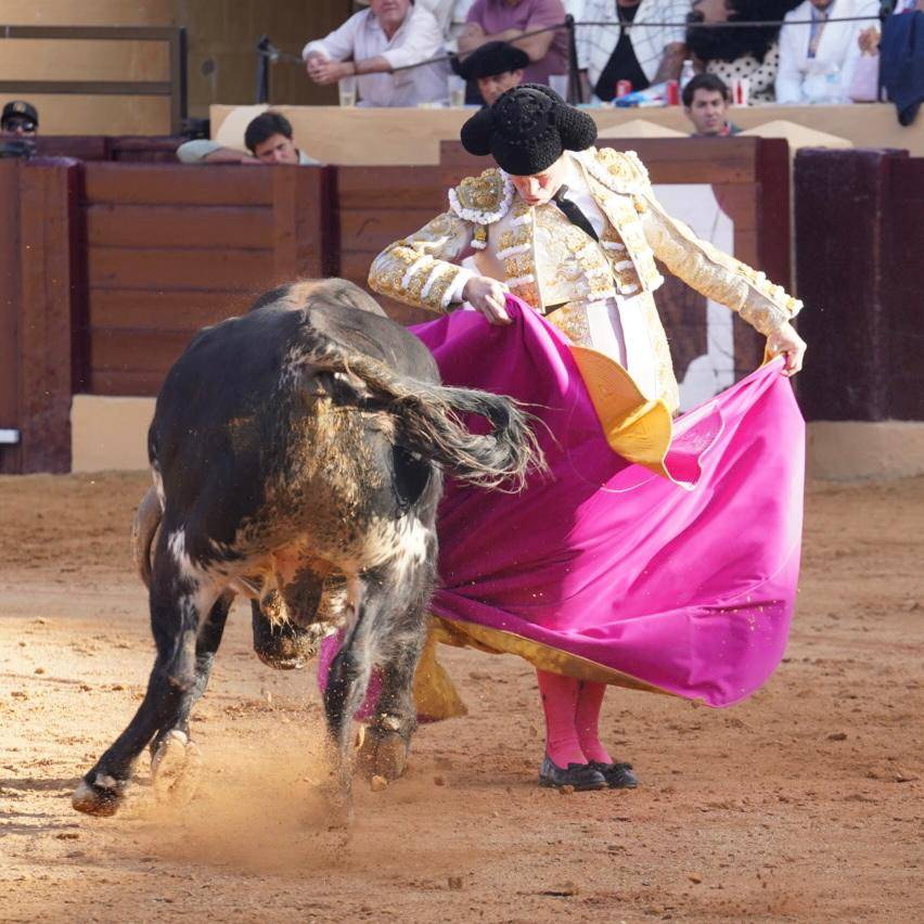 Imagen 15