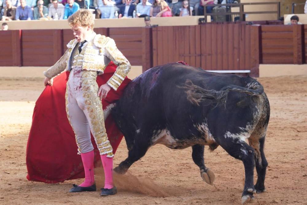 Imagen 17