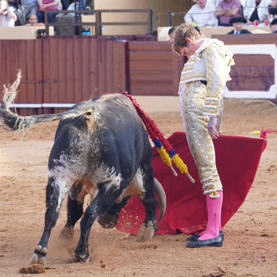 Imagen 18