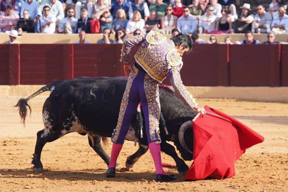 Imagen 19