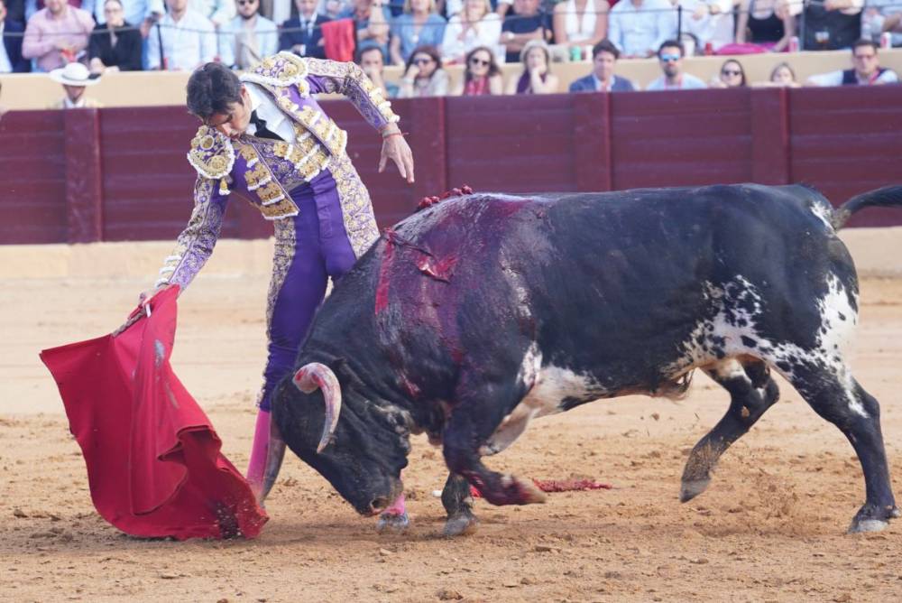 Imagen 20