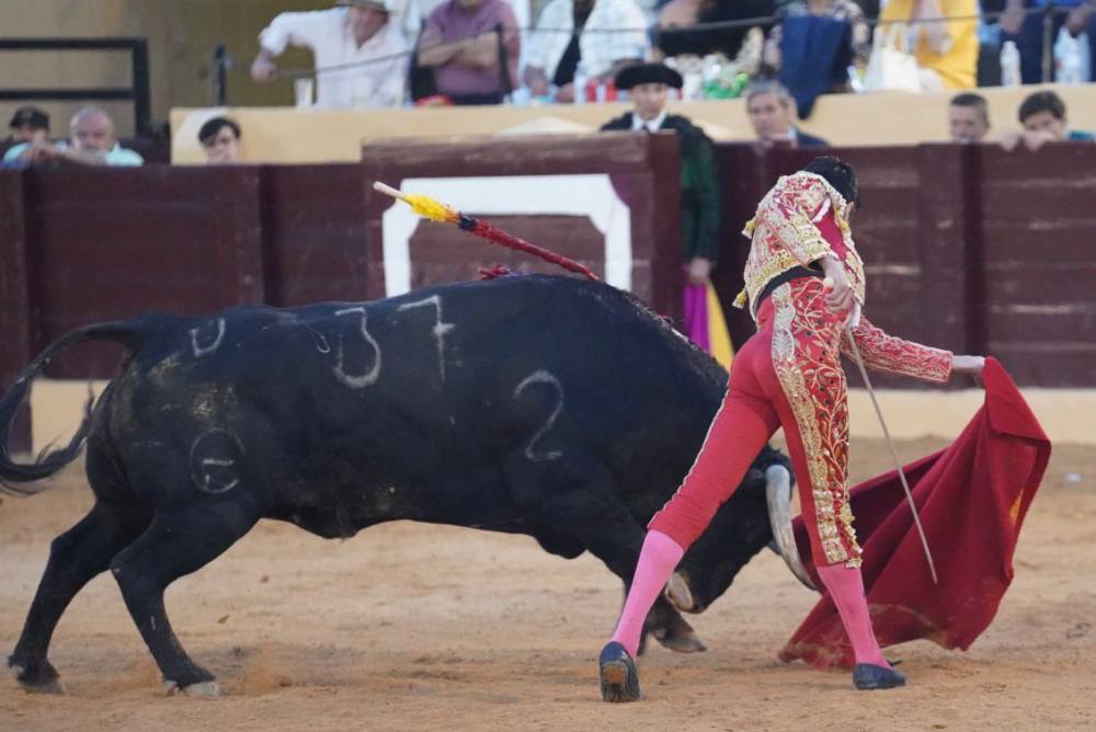 Imagen 31