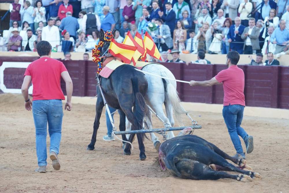 Imagen 32