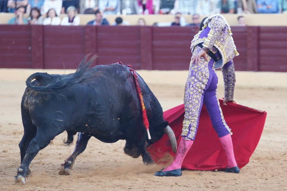Imagen 37