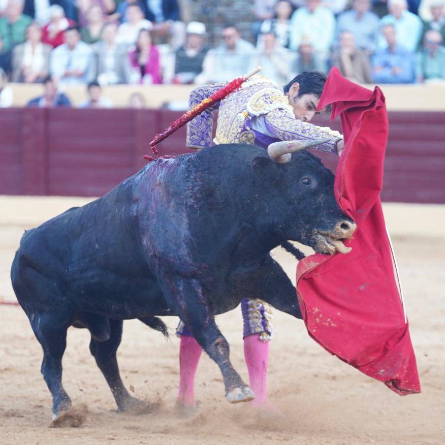 Imagen 39