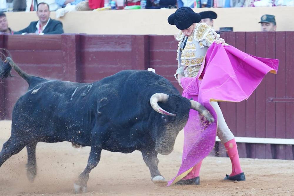 Imagen 41