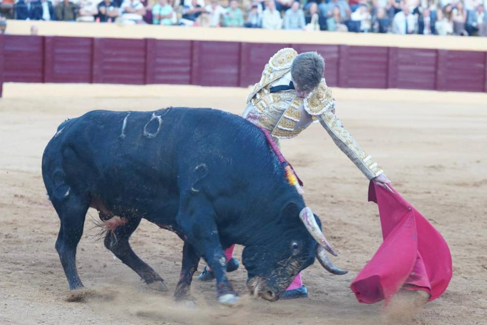 Imagen 46